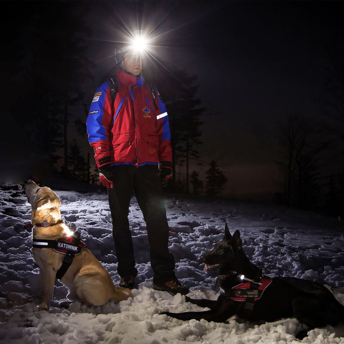 SUNSCAN 5.3 headlamp, 300 lm - Image 4