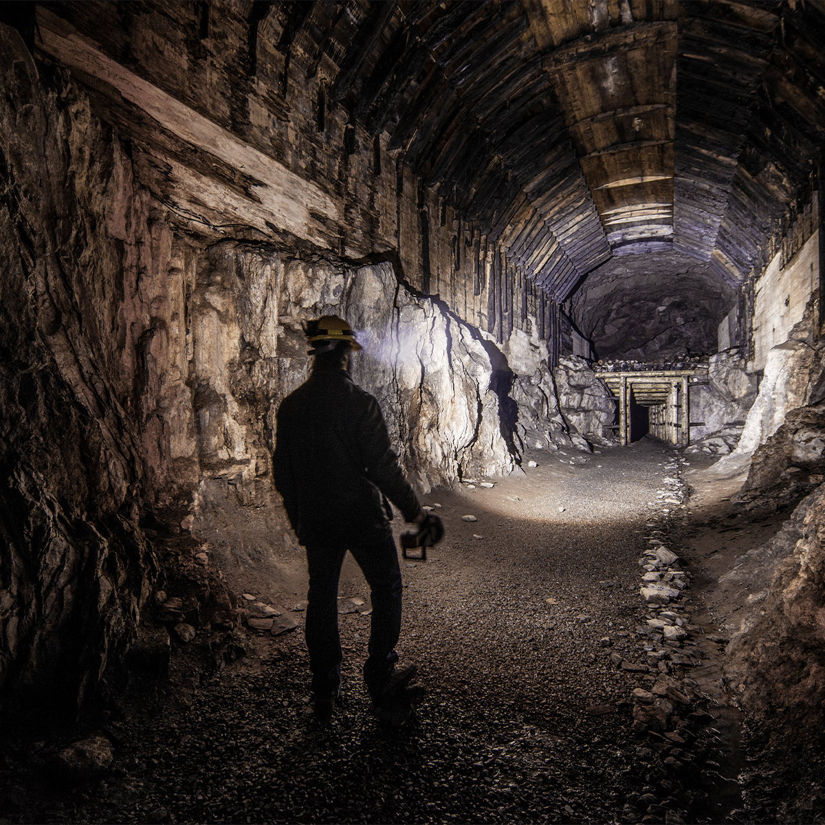 VANGUARD JML szperacz, 1600 lm - Image 6