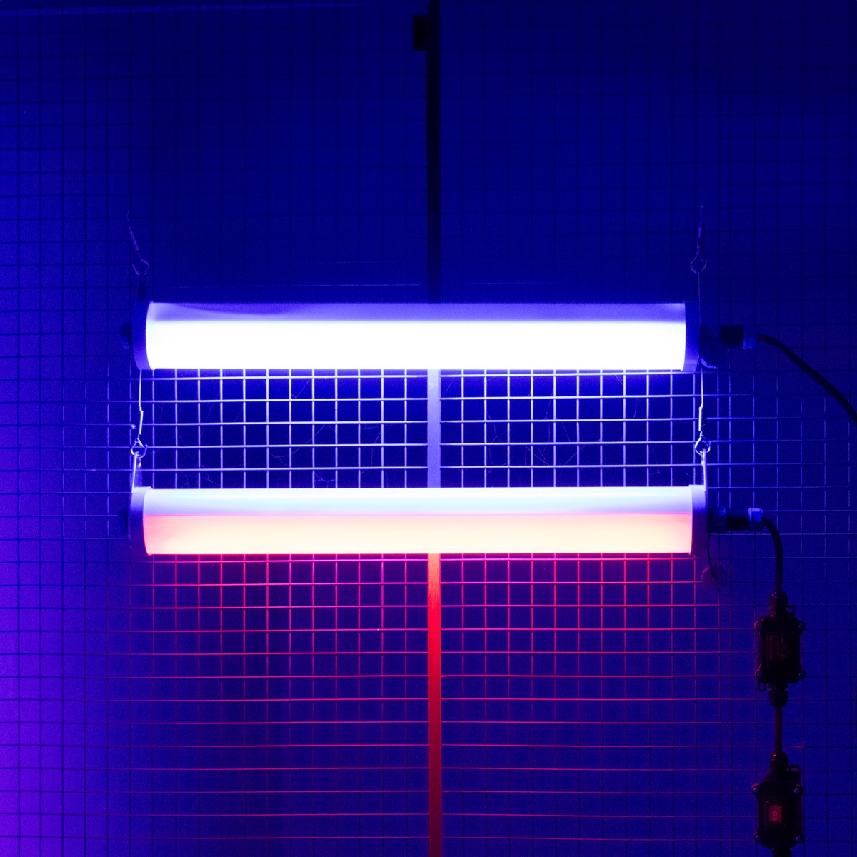 GALAXY OPL BLUE system oświetlenia namiotowego ze światłem niebieskim/białym, 2500 lm