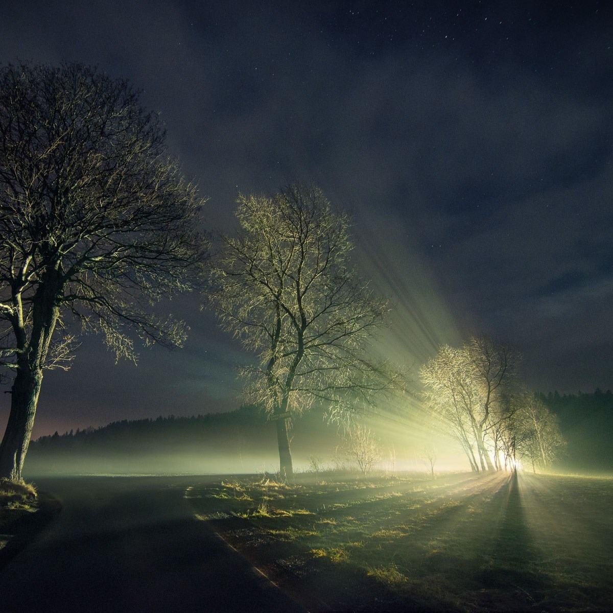 BLITZ K12 szperacz, 11600 lm - Image 12